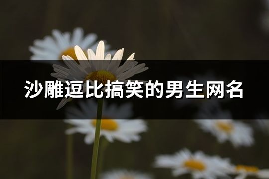 沙雕逗比搞笑的男生网名(115个)