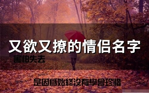 又欲又撩的情侣名字(精选72个)