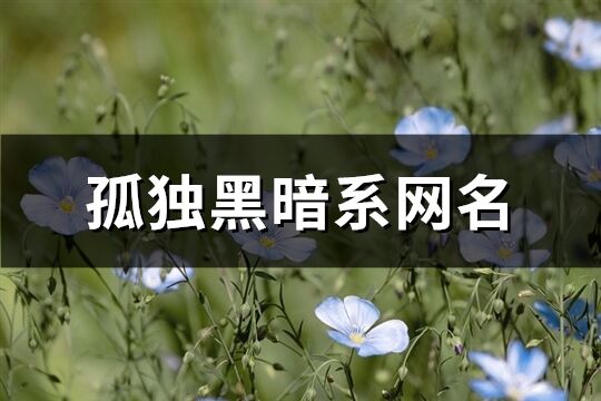 孤独黑暗系网名(共427个)