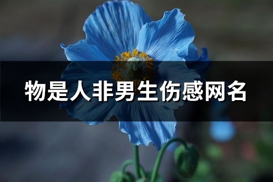 物是人非男生伤感网名(共102个)