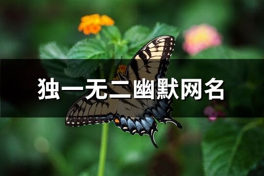 独一无二幽默网名(共188个)