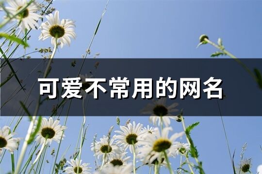 可爱不常用的网名(共135个)