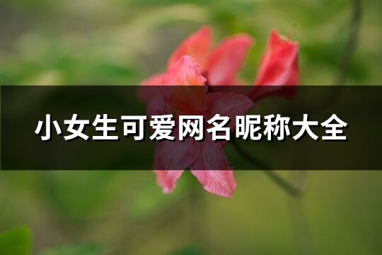 小女生可爱网名昵称大全(共398个)