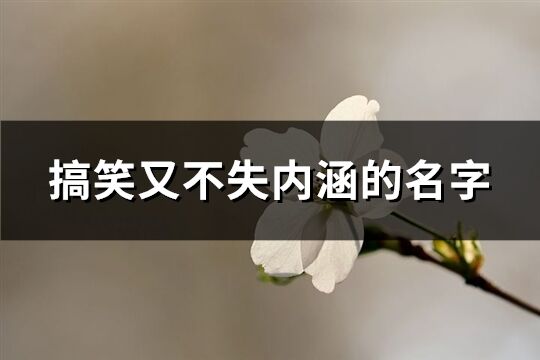 搞笑又不失内涵的名字(共328个)