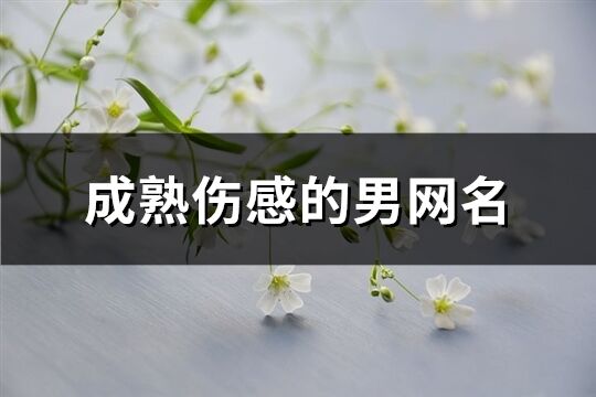 成熟伤感的男网名(精选672个)