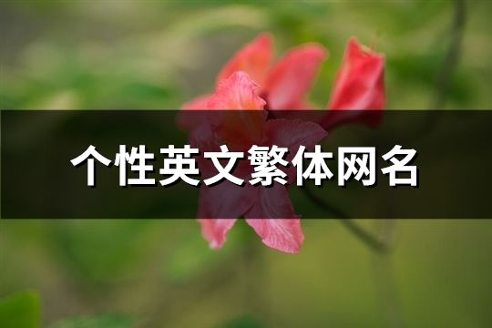 个性英文繁体网名(精选48个)