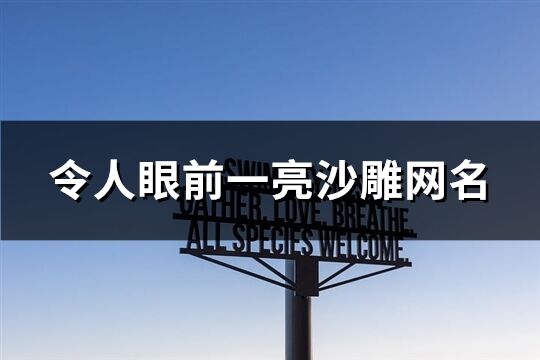 令人眼前一亮沙雕网名(319个)