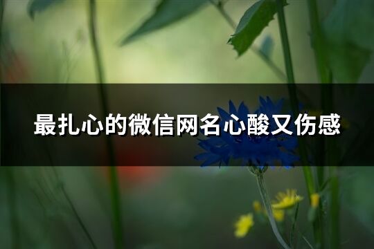 最扎心的微信网名心酸又伤感(共296个)