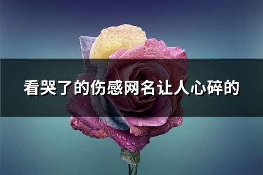 看哭了的伤感网名让人心碎的(共423个)