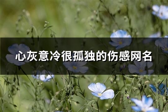 心灰意冷很孤独的伤感网名(共213个)