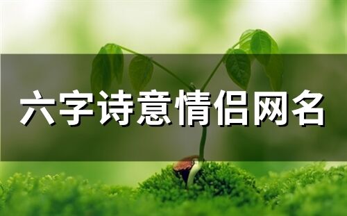 六字诗意情侣网名