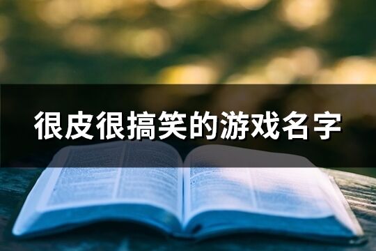 很皮很搞笑的游戏名字(共209个)