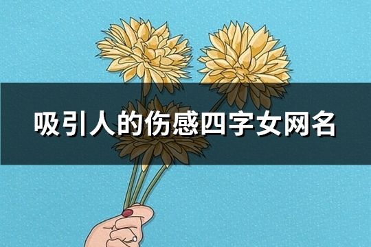 吸引人的伤感四字女网名(共1343个)