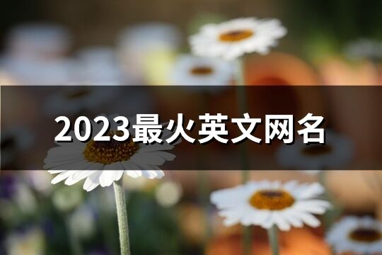 2023最火英文网名(210个)