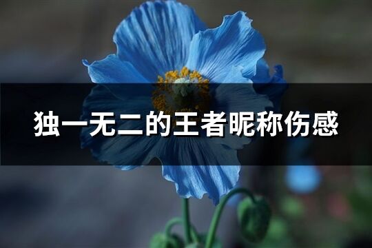 独一无二的王者昵称伤感(精选248个)