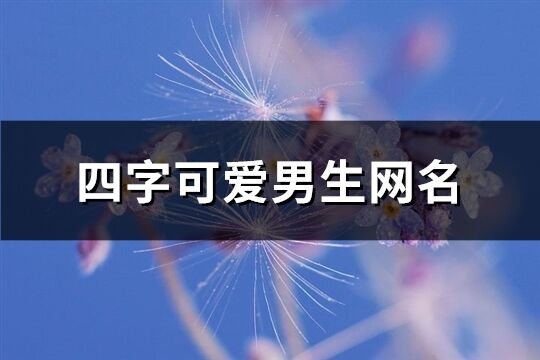 四字可爱男生网名(精选246个)