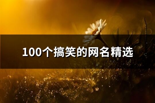 100个搞笑的网名精选