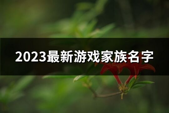 2023最新游戏家族名字(优选234个)