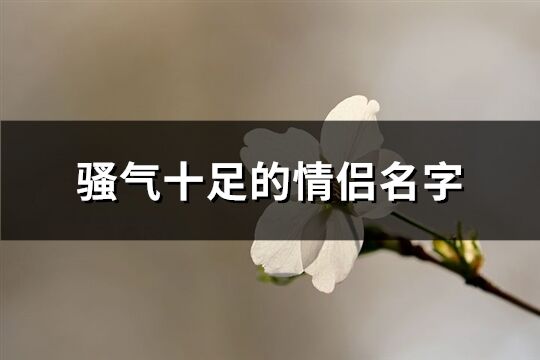 骚气十足的情侣名字(优选329个)