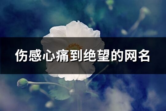 伤感心痛到绝望的网名(共490个)