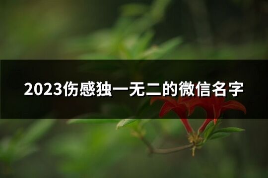 2023伤感独一无二的微信名字(优选4066个)