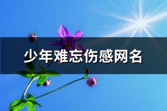 少年难忘伤感网名(共325个)