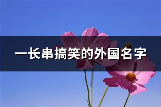 一长串搞笑的外国名字(共124个)