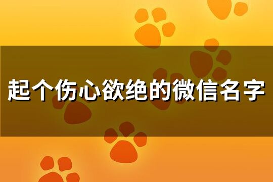 起个伤心欲绝的微信名字(共134个)