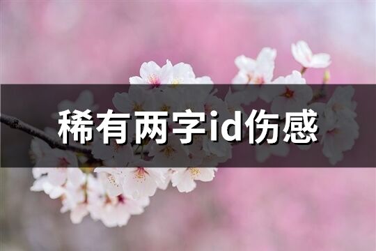 稀有两字id伤感(精选81个)