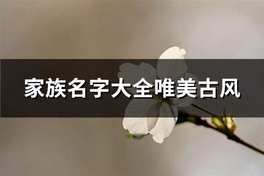 家族名字大全唯美古风(共132个)