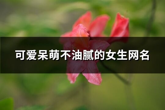 可爱呆萌不油腻的女生网名(精选320个)