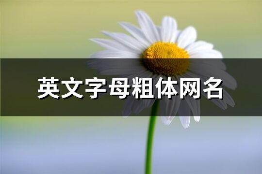 英文字母粗体网名(71个)