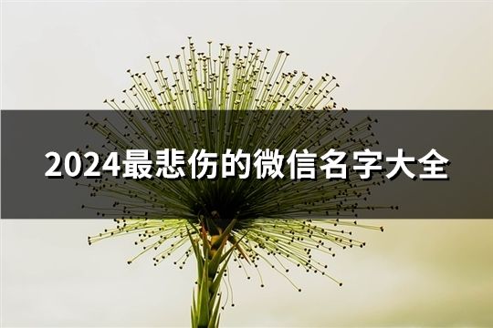 2024最悲伤的微信名字大全(精选211个)