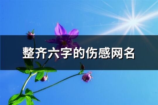 整齐六字的伤感网名(909个)