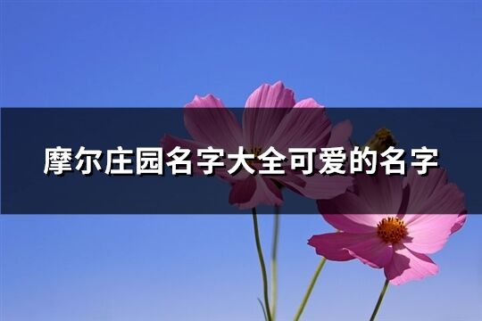 摩尔庄园名字大全可爱的名字(共108个)