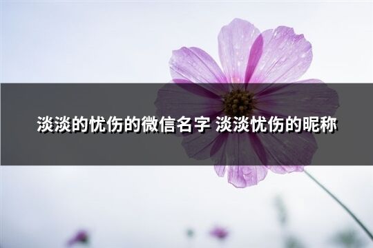 淡淡的忧伤的微信名字 淡淡忧伤的昵称(共255个)