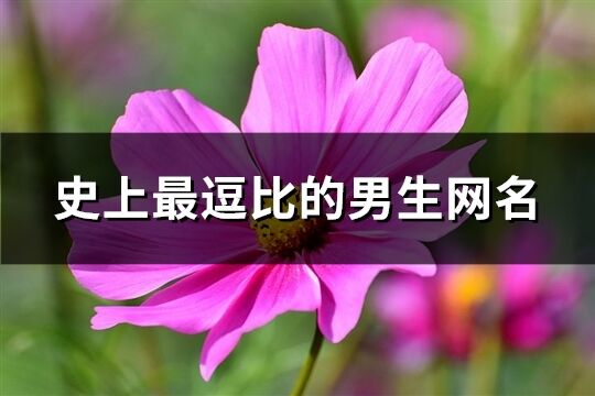 史上最逗比的男生网名(共237个)