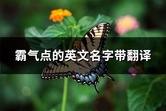 霸气点的英文名字带翻译(精选84个)