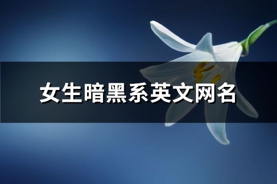 女生暗黑系英文网名(共116个)