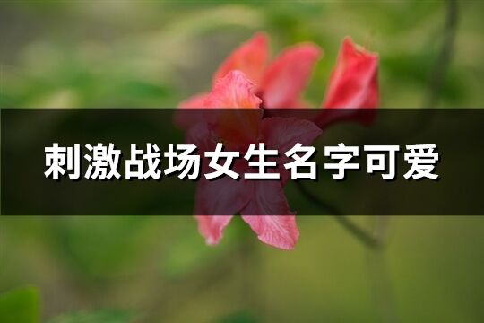 刺激战场女生名字可爱(183个)