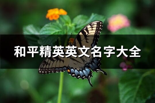 和平精英英文名字大全(67个)