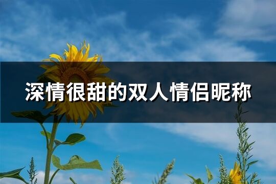 深情很甜的双人情侣昵称(共667个)