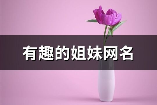 有趣的姐妹网名(95个)