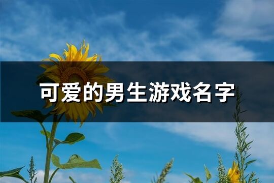 可爱的男生游戏名字(精选434个)