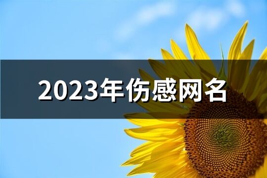 2023年伤感网名(精选513个)