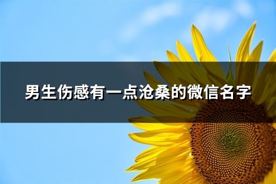 男生伤感有一点沧桑的微信名字(共452个)