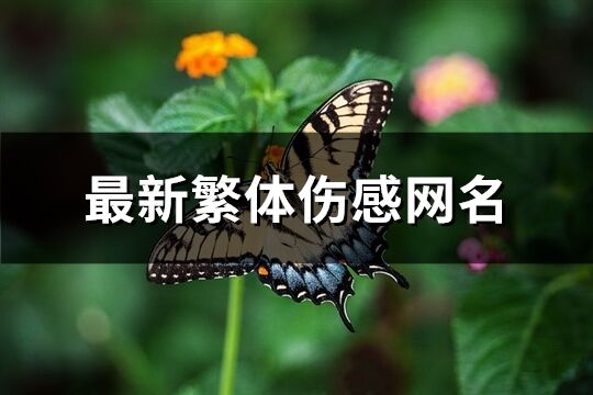 最新繁体伤感网名(共304个)