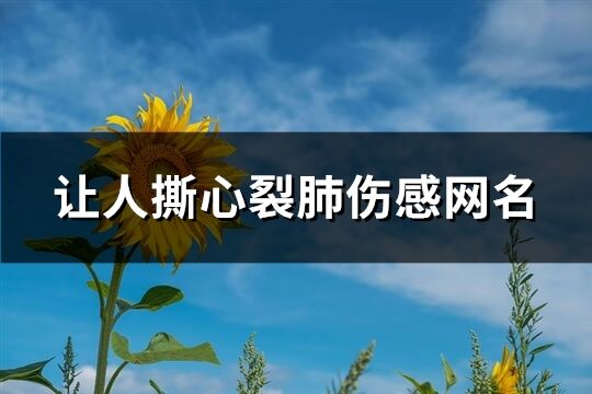 让人撕心裂肺伤感网名(共166个)