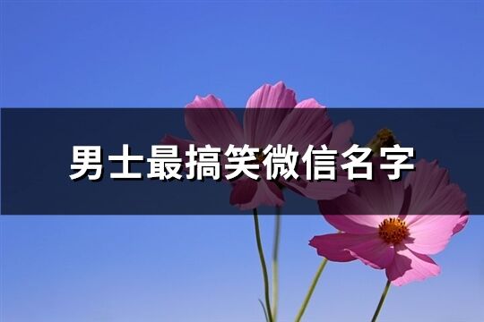 男士最搞笑微信名字(精选311个)