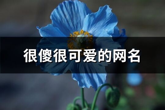 很傻很可爱的网名(共128个)